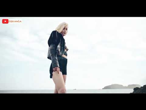 Aleyna Tilki Yalnız Çiçek Müziksiz Klip - ( Komik Montaj )