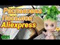 №221 Распаковка Посылок с Aliexpress ! Обзор Товаров из Китая !