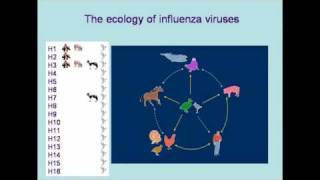 Influenza Infections  including Swine Flu screenshot 5