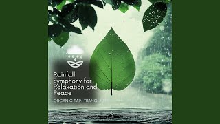 Core Rhythm Stretch (Rainfall Harmony Ambient)
