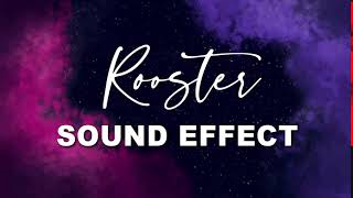 Rooster Sound Effect | NO COPYRIGHT 🎤🎶