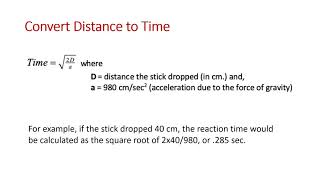 Reaction Time Experiment