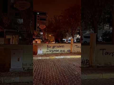 sakiler - dünyadan