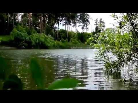 Футаж Лесное озеро