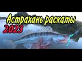 Рыбалка в Астрахани 10 дней дикарями живём в палатке, ловля судака на джиг.
