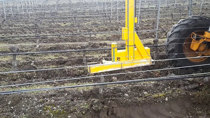 Vineyard vine removal