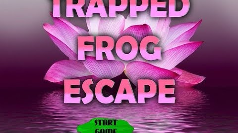 trapped frog escape video walkthrough