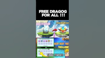 New Pet Update in skyblock 🤯🤔 #blockmango #skyblock #bedwars #minecraft #shorts