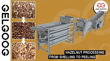 Hazelnut Almond Cracking Shelling Roasting Peeling Machine Video