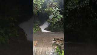 Rainy Forest Waterfall 🌧️ | Nature Relaxing Sounds #4k #action #explosion