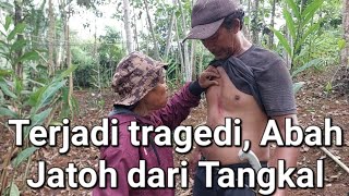 TERJADI TRAGEDI TAK TERDUGA ABAH MURAG/JATOH DARI POHON