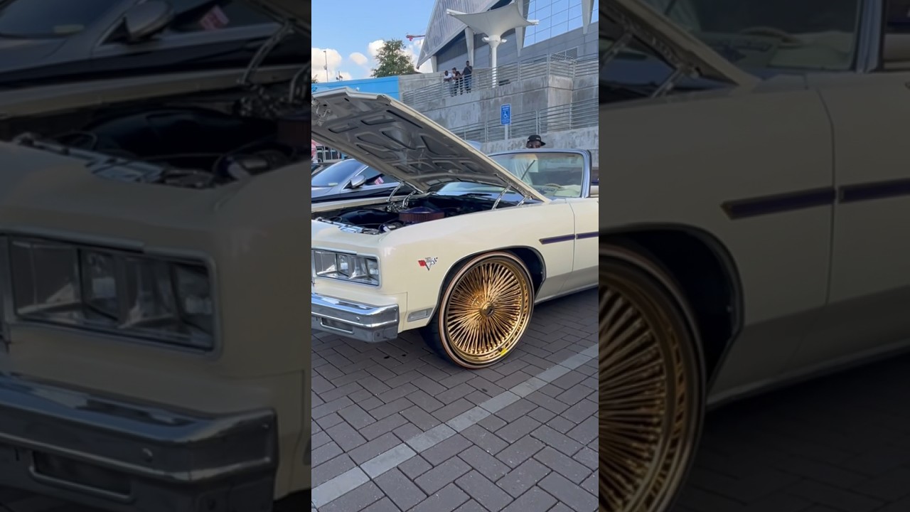 1975 Donk Vert on 24” All Gold Dayton Wheels