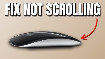 Magic Mouse Not Scrolling - How To Fix