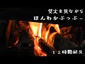 12時間耐久 ほんわかぷっぷー12時間 日常系BGM 12時間耐久 ほんわかぷっぷー12時間 日常系BGM