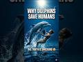 Why Dolphins Save Humans… #Dolphins  #MindBlown #DidYouKnow #WildlifeFacts #viralshorts #oceanfacts