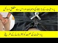 Causes of Enlarged Prostate and Effective Ways to Improve Prostate Health