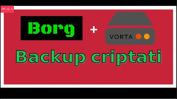 Backup Borg + Vorta