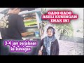 Daily vlog shopping // belanja bahan sayuran mau masak endingnya beli gado gado