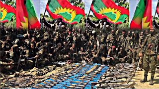 Oduu Ammee Injifannoo Wbo Ibsa Kfo Guyyaa Haraa Bitootessa 28,2026