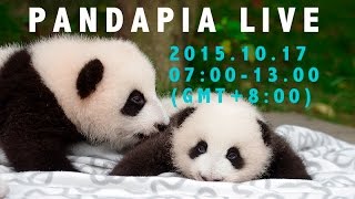 PANDAPA LIVE 20151017