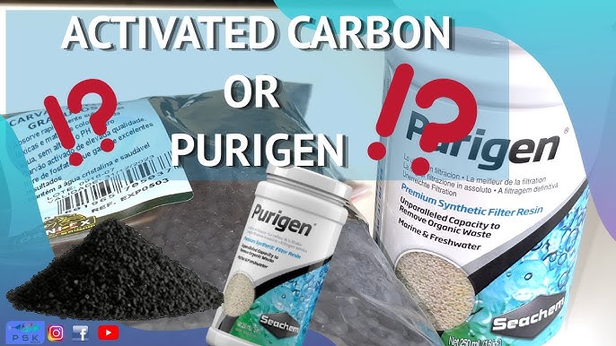 Does Seachem Purigen work? #seachem #purigen #tropicalfish 