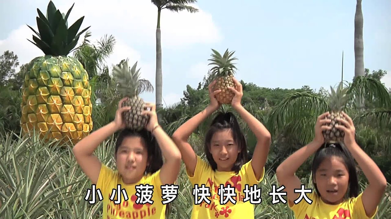 PappaPappaPineappledance [Chinese] - YouTube