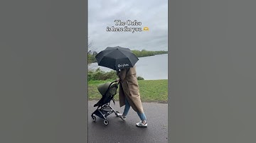 Compact stroller: Cybex Orfeo in Moss Green