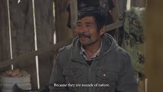 Mapuche fungal knowledge with Don Talí