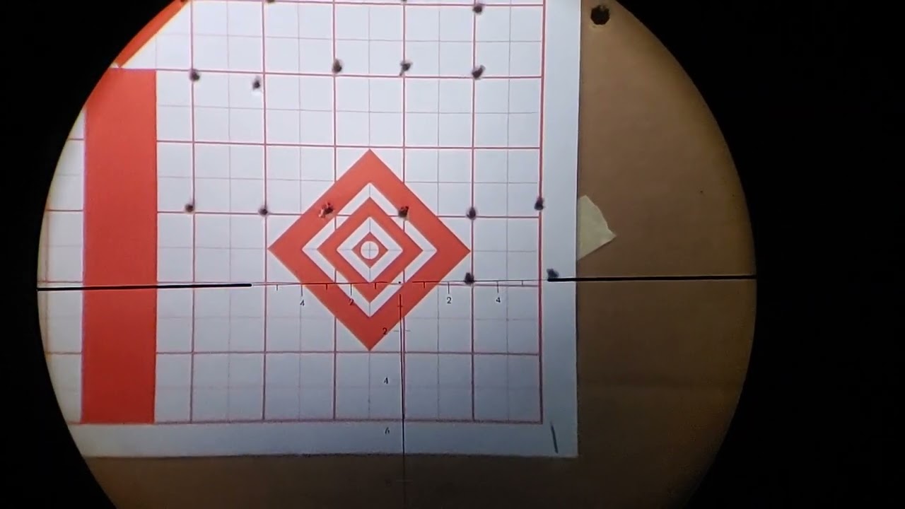 RAW TM1000 .177 sub.20ft.lb. @ 25 yards. 1-17-2022.