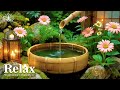 Gentle Relaxing Harmony 🌿 Emotional Healing & Calm Sleep