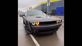 Dodge Challenger vs Ford Mustang. artline motors. Машины из США