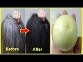 White Hair TO Black Hair Naturally In Just 1 Day Permanently - 100% WORK || Healthcare Plus