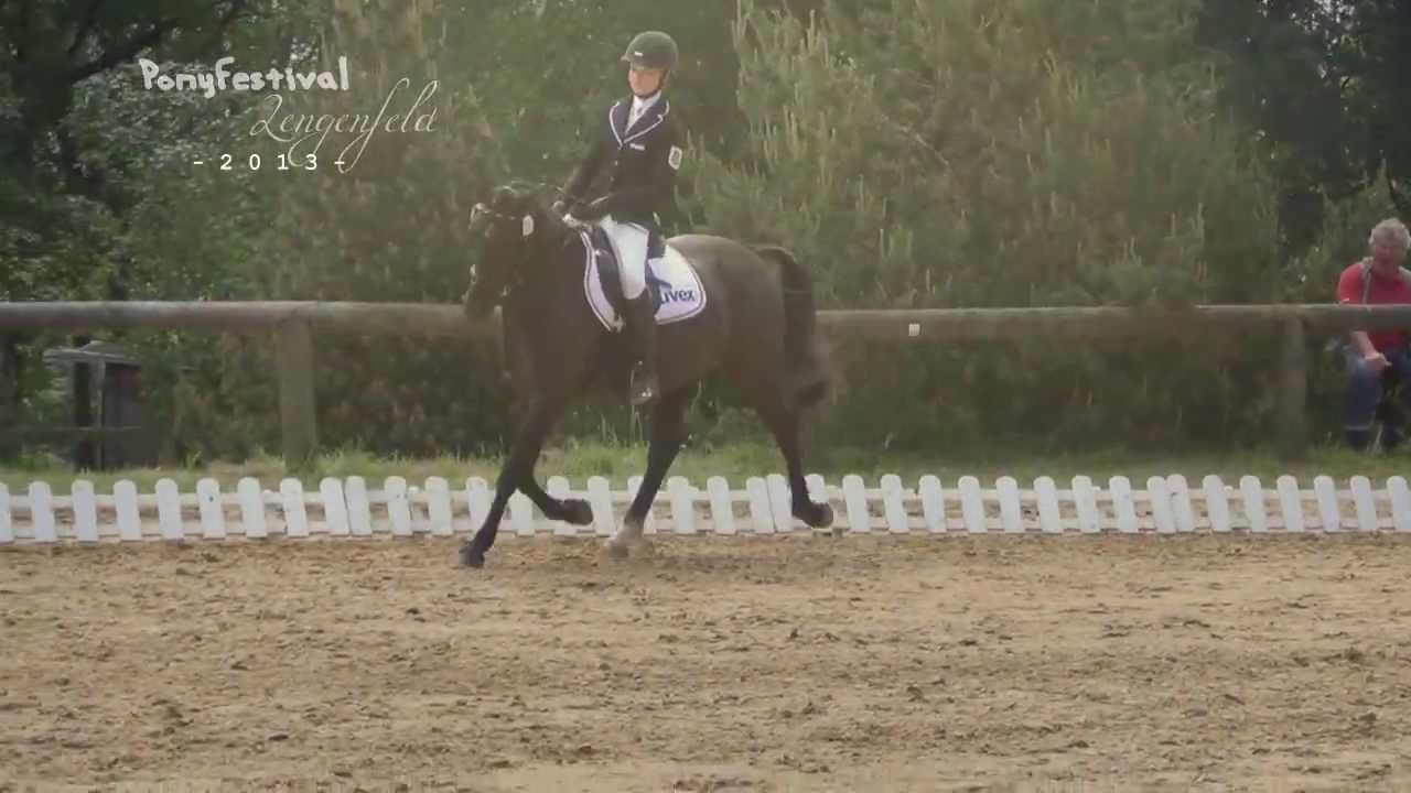 Ponyfestival Lengenfeld - 2013 - [HD]