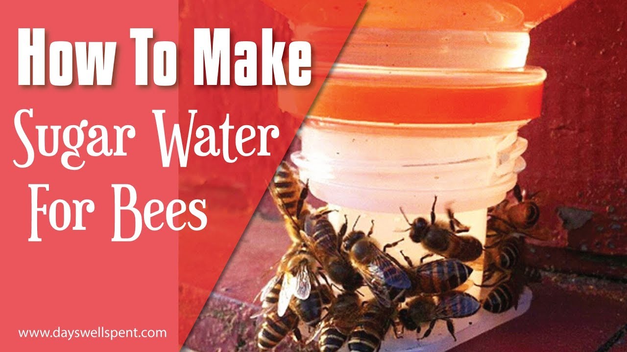 How To Make Sugar Water To Feed Honey Bees YouTube