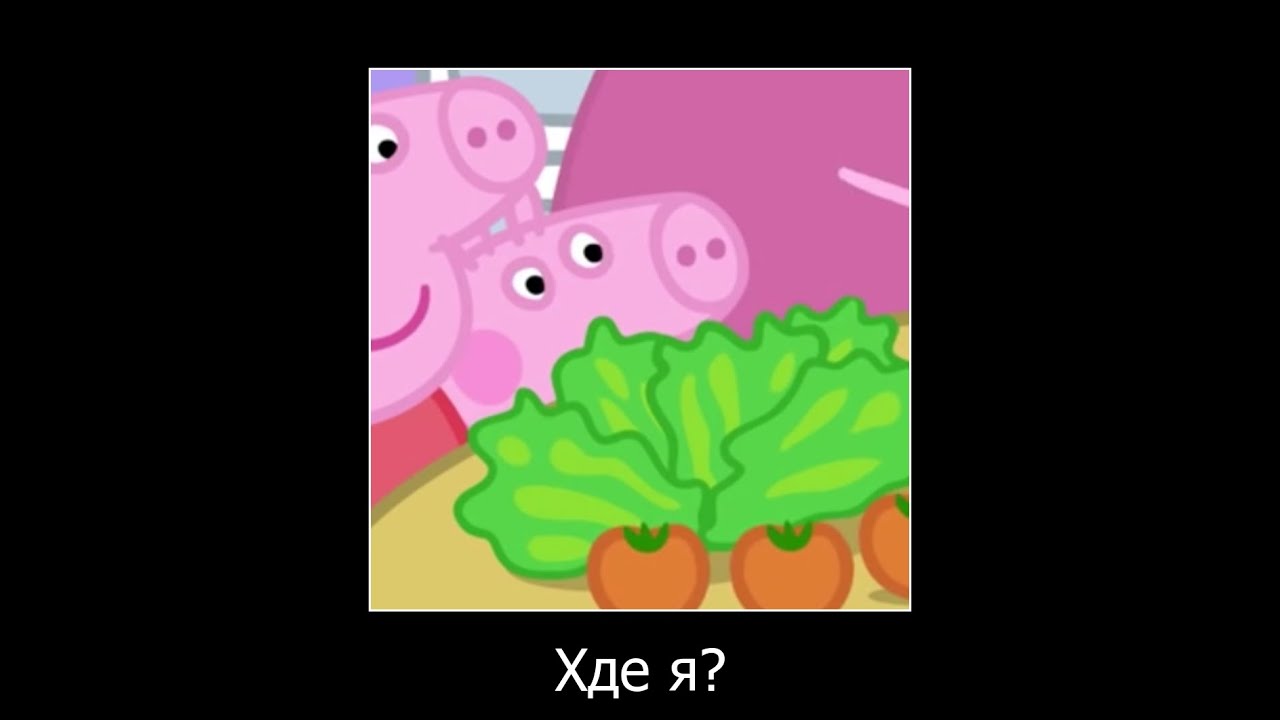 Муд свинка пеппа Демотиватор (обед) - YouTube