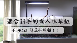 適合新手的懶人水草缸!不用co2簡單好照顧!!