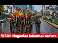 ODUU Caamsaa 29 2026 Waraanni Bilisummaa Oromoo Magaalaa Finfinnee Marseera Jedhe Gabaasa Addaa OMN 