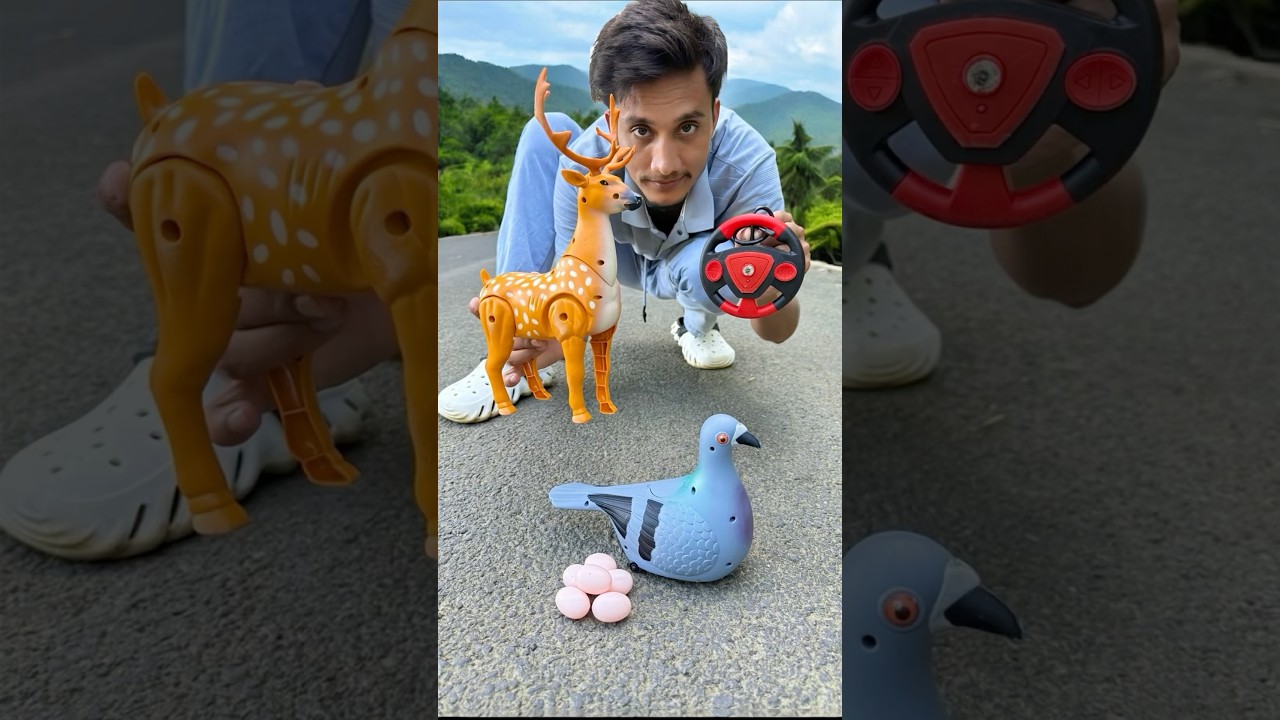 RC Pigeon Birds and Remote Wala Deer ki unboxing 🥹