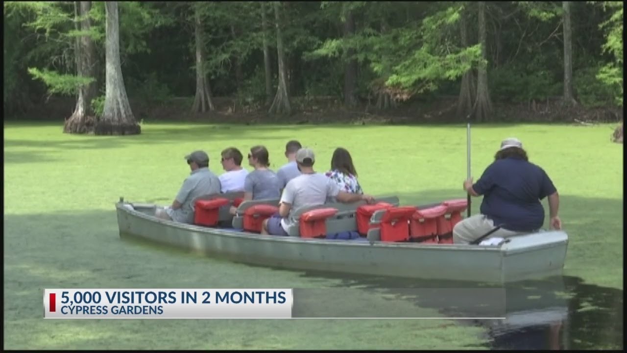 Cypress Gardens visitors