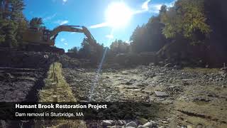 Hamant Brook Restoration