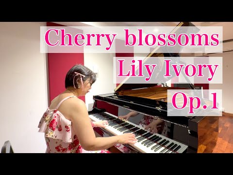 Cherry blossoms - リリーアイボリー