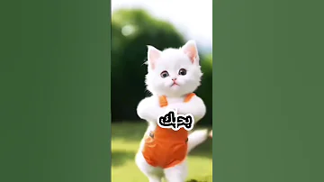 اسماء ياقمر اغنيه باسم اسماء 