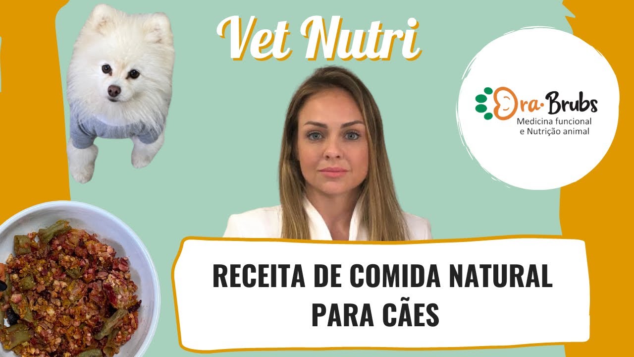 Receita de comida natural para cães (1)