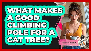 What Makes A Good Climbing Pole For A Cat Tree? - Happy Cat Handbook