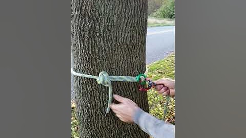 Arborist SRT canopy /spar anchor with dmm ring