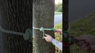 Arborist SRT canopy /spar anchor with dmm ring