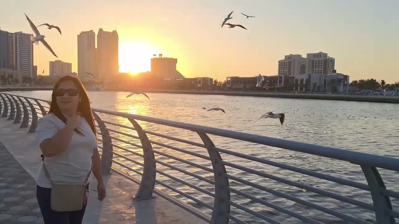 TWITTY BIRD WATCHING, AJMAN UAE