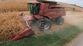 Neighborhood Rides in a CASE IH 7230 Axial-Flow Combine - Start of Corn Field - Harvest 2020 - 5K