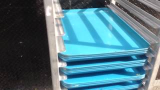 Fairway Market Health Code Violations 10/29/14
