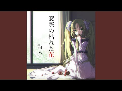 窓際の枯れた花